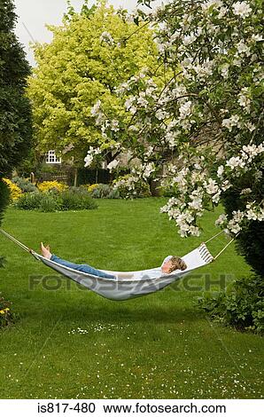 Stock Image - Woman sleeping in a hammock. Fotosearch