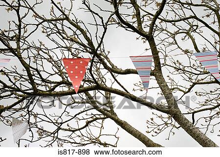 Bunting in a tree View Large Photo Image Stock Photo - Bunting in a tree. Fotosearch