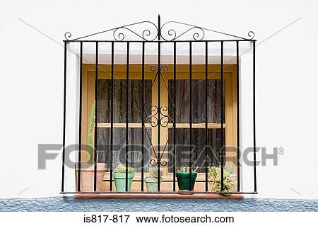 Stock Photo - Cacti on a windowsill. Fotosearch