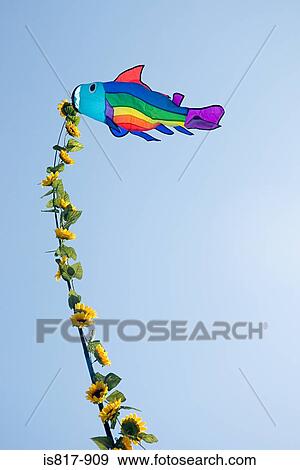 Fabric fish and sunflowers View Large Photo Image Stock Photo - Fabric fish and sunflowers. Fotosearch