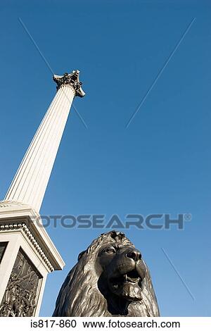 Lion statue and nelsons column View Large Photo Image Stock Image - Lion statue and nelsons column. Fotosearch