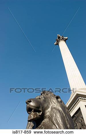 Lion statue and nelsons column View Large Photo Image Stock Photo - Lion statue and nelsons column. Fotosearch