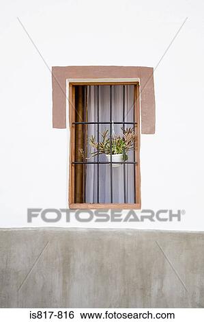 Plant in a window View Large Photo Image Stock Photograph - Plant in a window. Fotosearch
