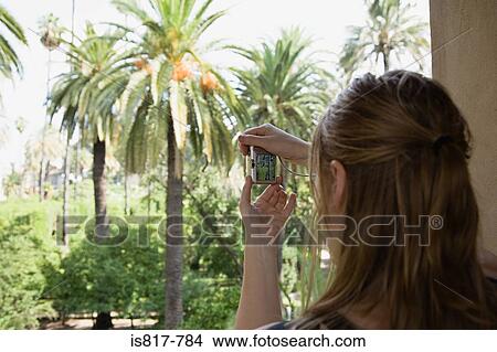 Picture - Woman taking picture of palm trees. Fotosearch