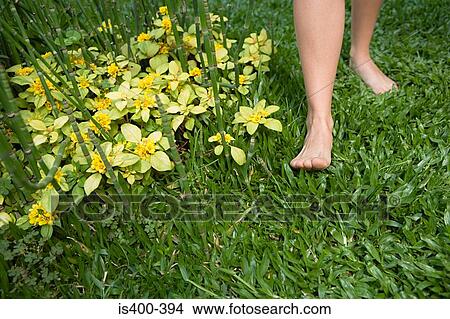 Picture - Barefeet. Fotosearch