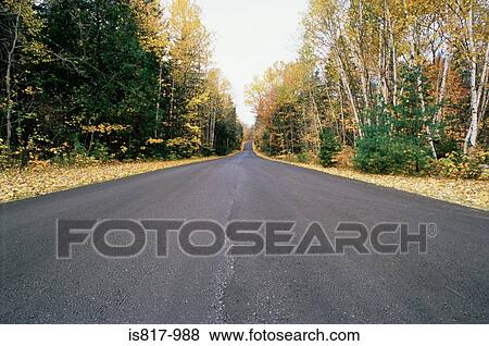 Deserted tree lined road View Large Photo Image Stock Photo - Deserted tree lined road . Fotosearch