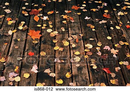 Stock Image - Fallen leaves on a deck. Fotosearch