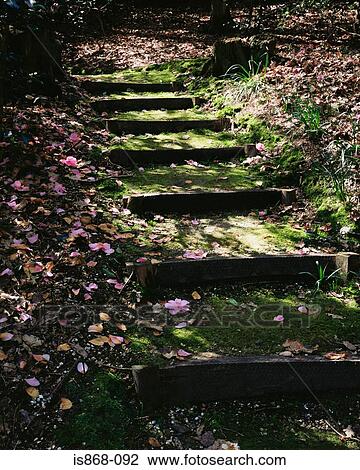 Garden path in spring View Large Photo Image Stock Image - Garden path in spring. Fotosearch