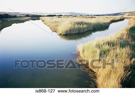 Marshland View Large Photo Image Stock Photo - Marshland. Fotosearch