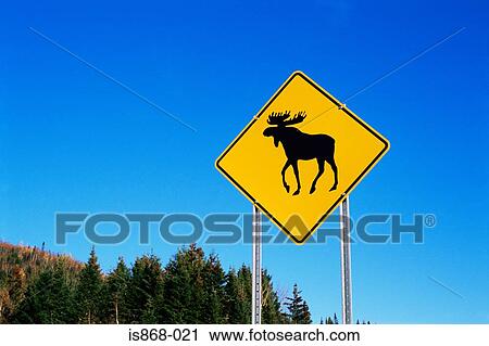 Moose warning sign View Large Photo Image Stock Image - Moose warning sign. Fotosearch