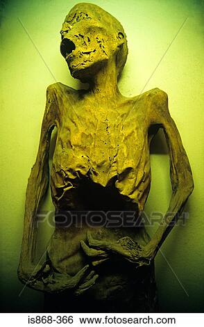 Stock Photograph - Mummy. Fotosearch