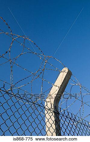 razor wire