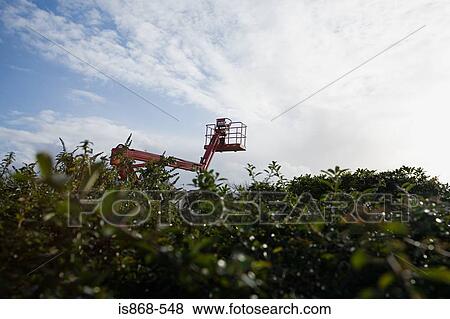 Stock Photo - Crane and hedge. Fotosearch