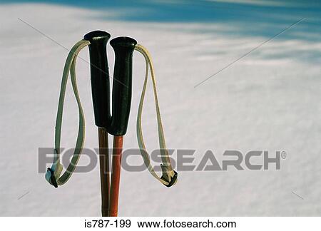 Cross country ski poles View Large Photo Image Stock Photo - Cross country ski poles. Fotosearch