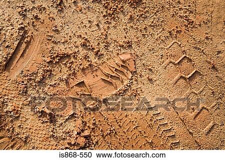 Stock Image - Footprint and tracks in sand. Fotosearch