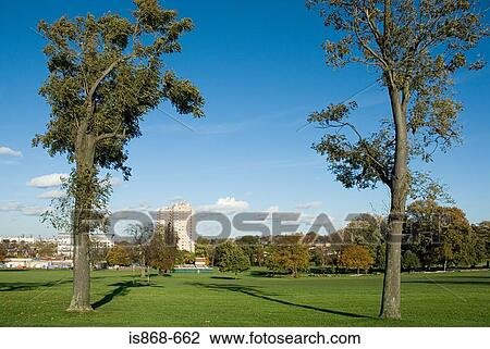 Stock Image - Park. Fotosearch