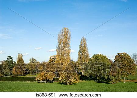 Stock Image - Park. Fotosearch