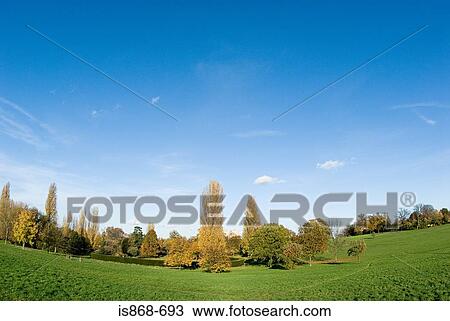 Park View Large Photo Image Stock Image - Park. Fotosearch
