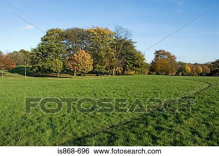 Park View Large Photo Image Stock Photograph - Park. Fotosearch