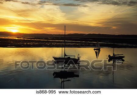 Sailboats at sunset View Large Photo Image Stock Photography - Sailboats at sunset. Fotosearch
