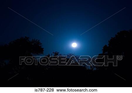 The moon View Large Photo Image Stock Photo - The moon. Fotosearch