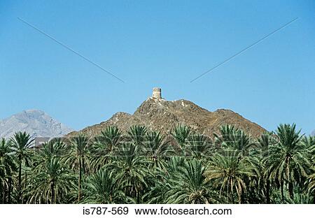 Fort in nizwa oman View Large Photo Image Stock Photo - Fort in nizwa oman. Fotosearch