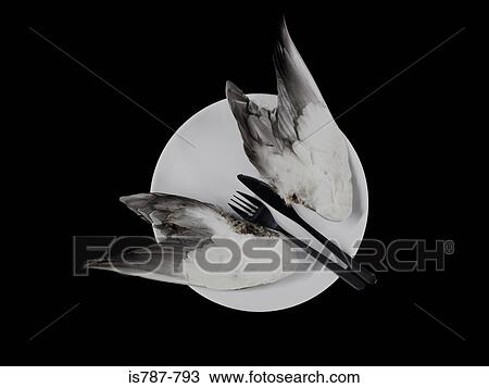 Bird wings on a plate View Large Photo Image Stock Image - Bird wings on a plate. Fotosearch
