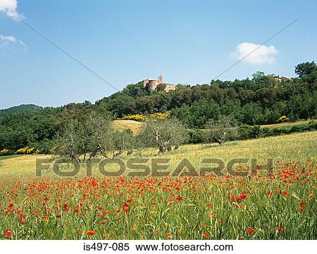 Castle at la foce tuscany View Large Photo Image Stock Photography - Castle at la foce tuscany. Fotosearch