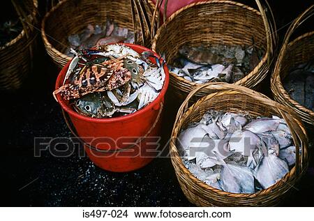 Fish at market in hong kong View Large Photo Image Picture - Fish at market in hong kong. Fotosearch