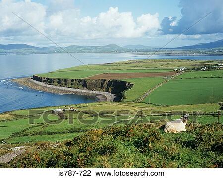 Ring of kerry View Large Photo Image Stock Image - Ring of kerry. Fotosearch