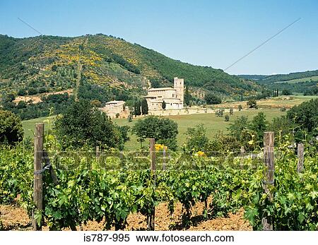 San antimo abbey tuscany View Large Photo Image Stock Photography - San antimo abbey tuscany. Fotosearch