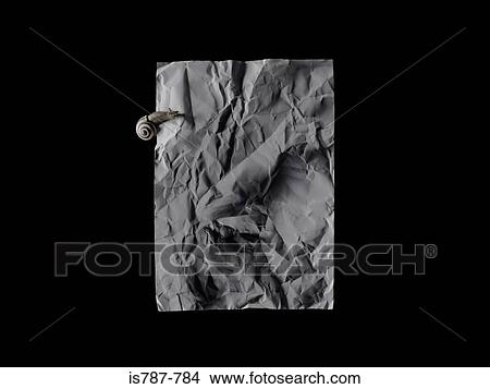 Snail on a piece of paper View Large Photo Image Picture - Snail on a piece of paper. Fotosearch