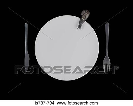 Snail on a plate View Large Photo Image Picture - Snail on a plate. Fotosearch