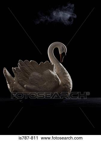 Swan and smoke View Large Photo Image Stock Image - Swan and smoke. Fotosearch