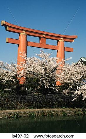 Torii in kyoto View Large Photo Image Stock Image - Torii in kyoto. Fotosearch
