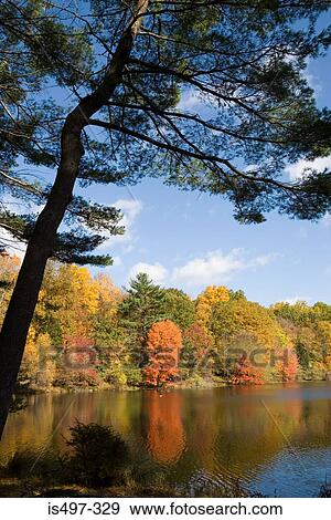 Bear mountain new york state View Large Photo Image Stock Photo - Bear mountain new york state. Fotosearch
