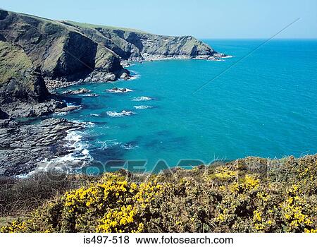 Cornish coast View Large Photo Image Stock Photo - Cornish coast. Fotosearch
