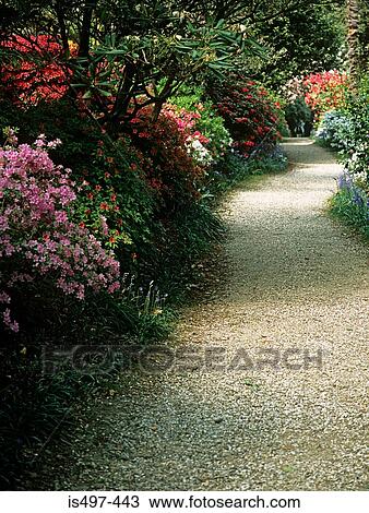 Garden path View Large Photo Image Stock Image - Garden path. Fotosearch