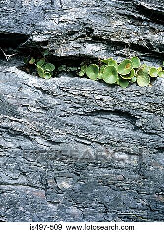Stock Photo - Granite. Fotosearch
