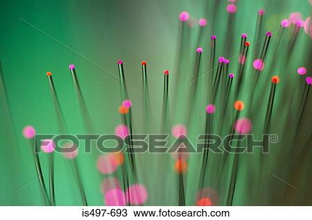 Fibre optics View Large Photo Image Stock Image - Fibre optics. Fotosearch
