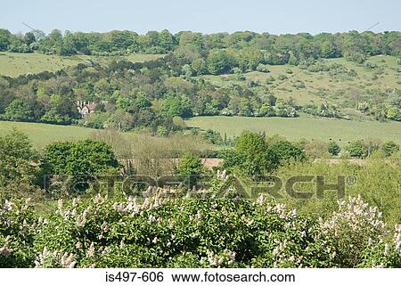 Stock Photograph - Landscape. Fotosearch