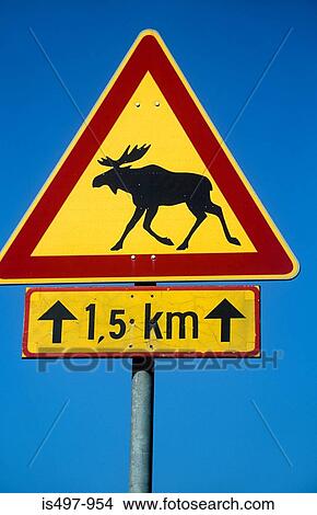 Moose on a road sign View Large Photo Image Picture - Moose on a road sign. Fotosearch