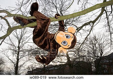 Person in monkey costume hanging from tree View Large Photo Image Stock Photo - Person in monkey costume hanging from tree. Fotosearch