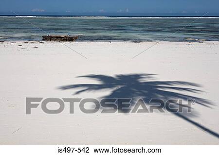 Shadow of a palm tree on a beach View Large Photo Image Stock Image - Shadow of a palm tree on a beach. Fotosearch