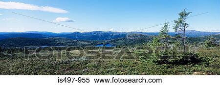 Telemark norway View Large Photo Image Stock Photography - Telemark norway. Fotosearch