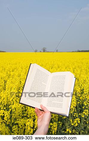 Person with book in field View Large Photo Image Stock Image - Person with book in field. Fotosearch