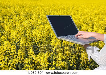 Person with laptop in field View Large Photo Image Picture - Person with laptop in field. Fotosearch