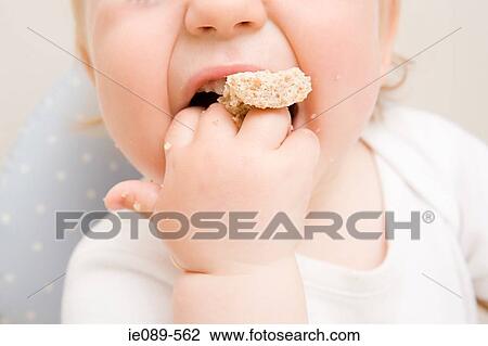 Stock Image - A baby boy eating a biscuit. Fotosearch