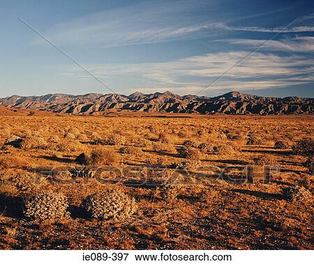 California desert View Large Photo Image Stock Photo - California desert. Fotosearch