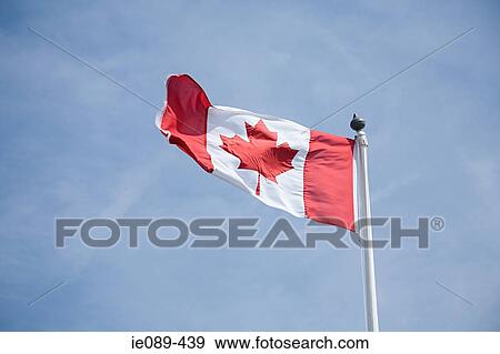Canadian flag View Large Photo Image Stock Photo - Canadian flag. Fotosearch